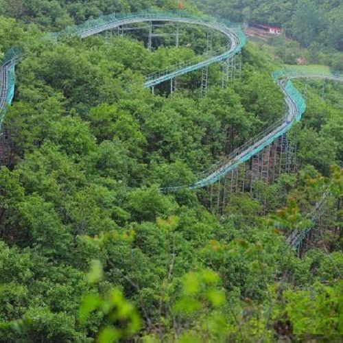 Alpine Coaster Adventure